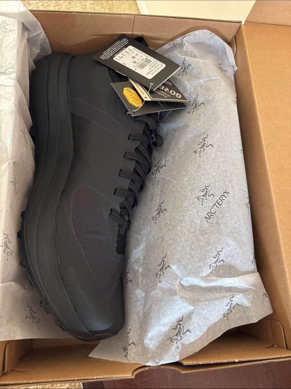 Arc'teryx Sylan GTX M trail running shoes